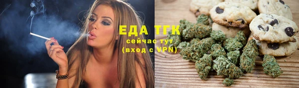хмурый Заводоуковск