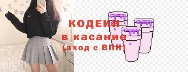 хмурый Заводоуковск