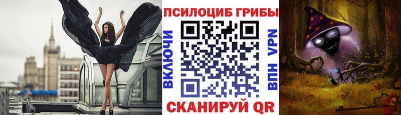 Купить закладки Дудинка Псилоцибиновые грибы MAGIC MUSHROOMS